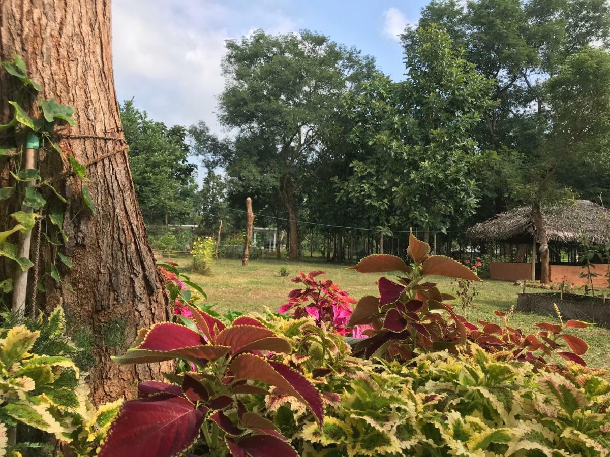 Peacock Resort Anuradhapura Exterior foto